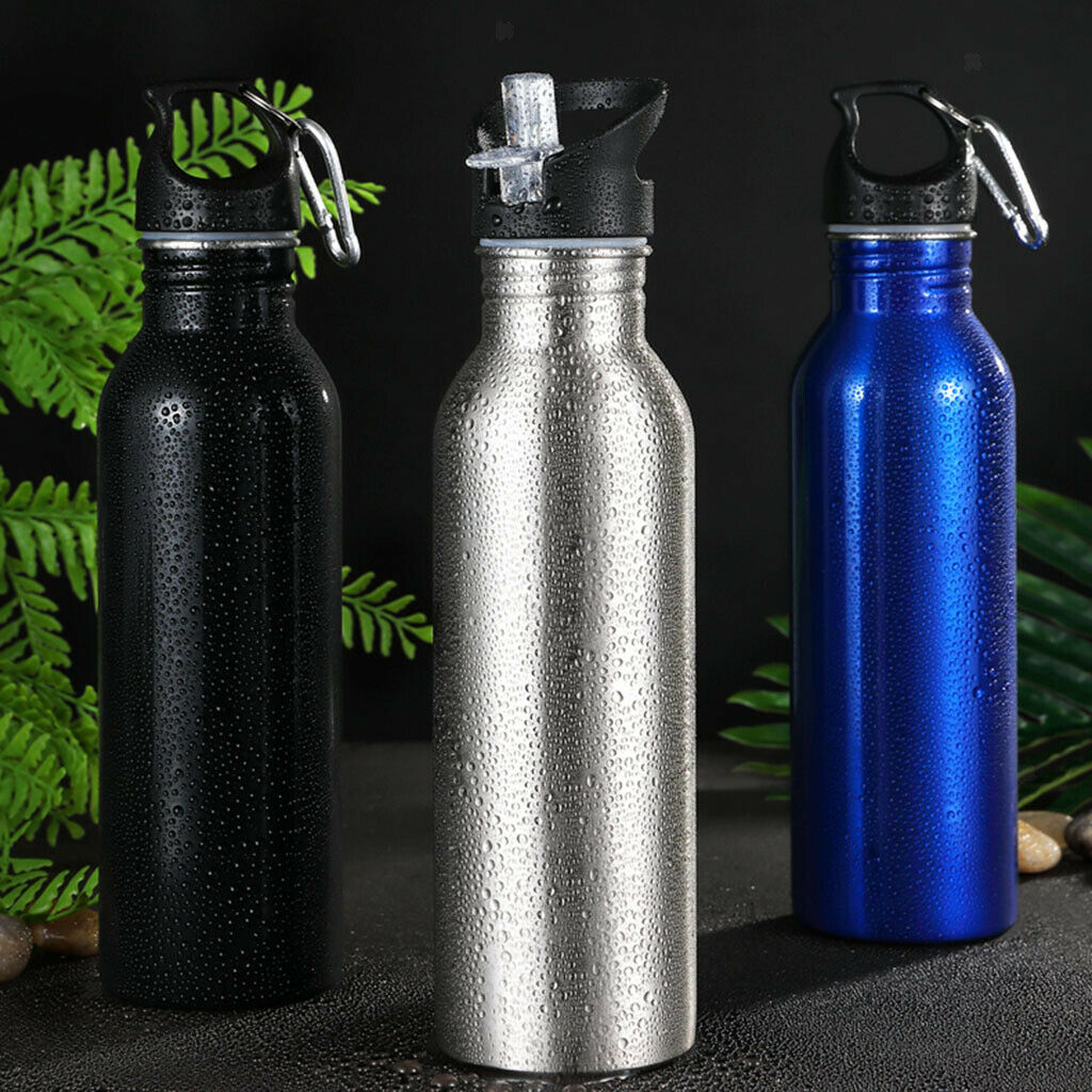 Sports Water Bottle Stainless Steel Flask 26oz Hiking Picnic Straw Cup