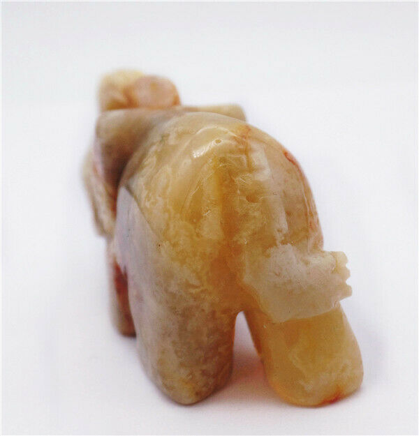 50x33x22mm Natural Crazy Lace Agate Carved Elephant Decoration Statue HH7959