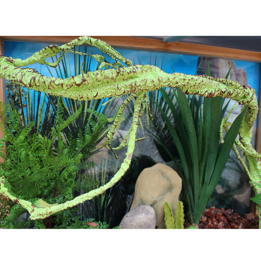 Reptile Box Tropical Rainforest Landscape Simulation System Rattan