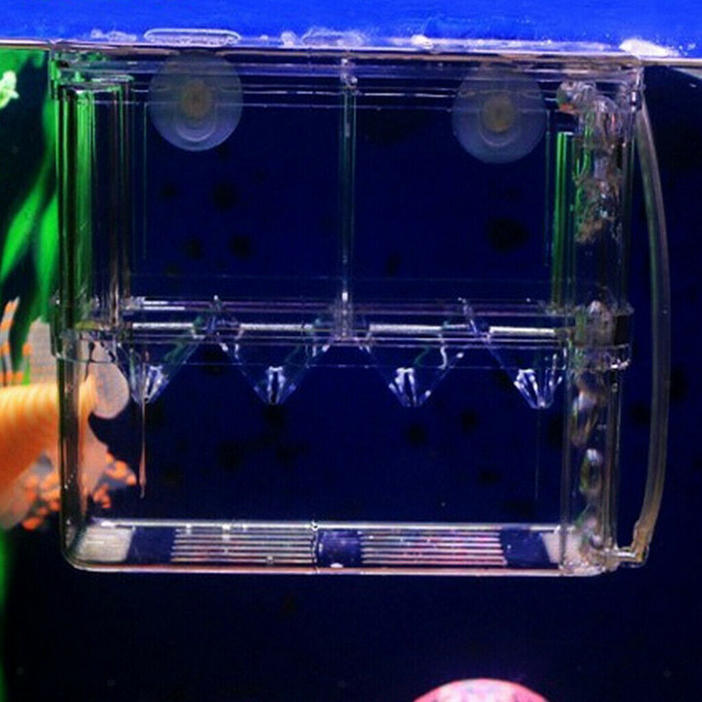 Aquarium Fish Breeder Box Isolation Box Fish Breeding Hatchery Incubator New