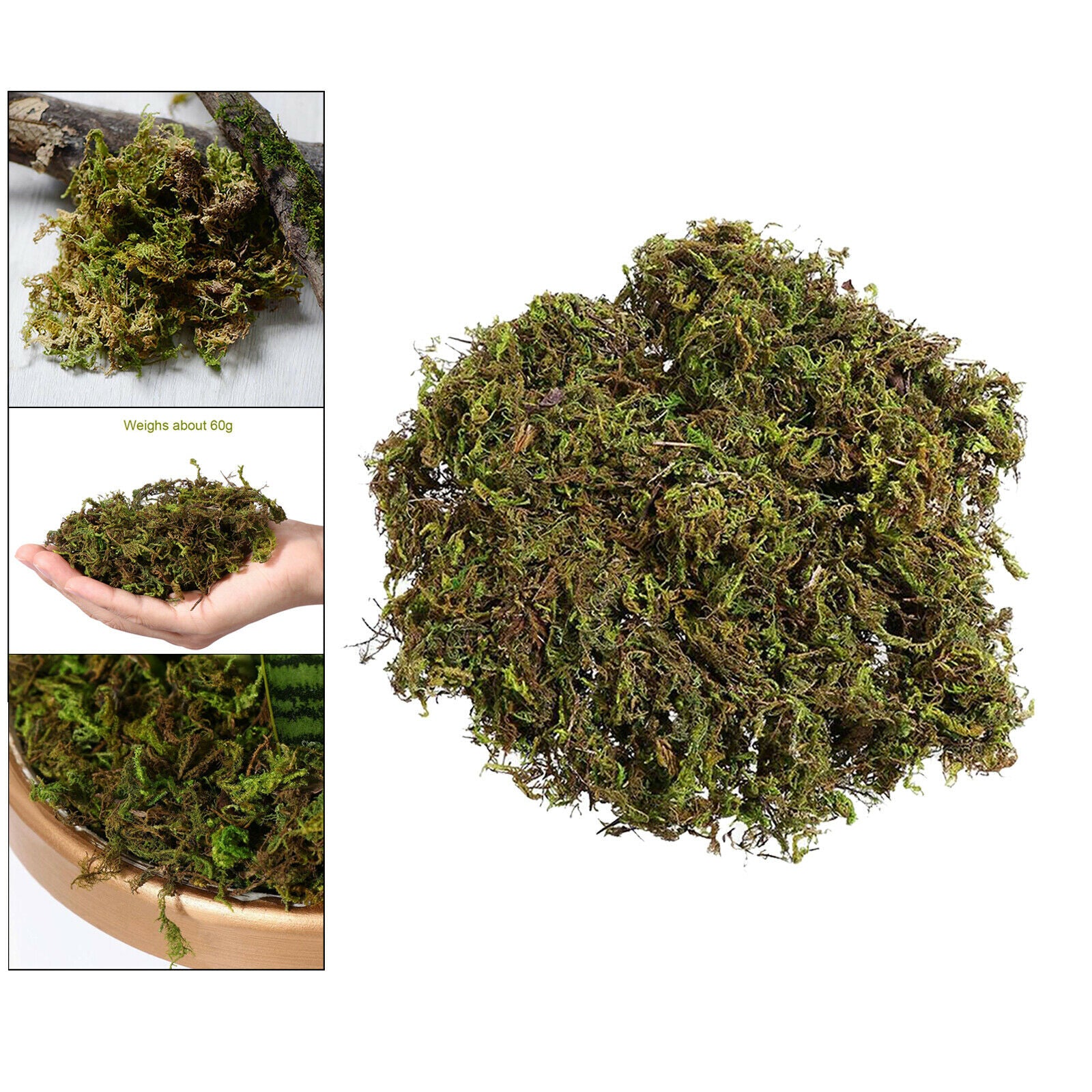 Artificial Dry Green Moss Lawn Flower Pot Decor Terrariums Arts Wedding