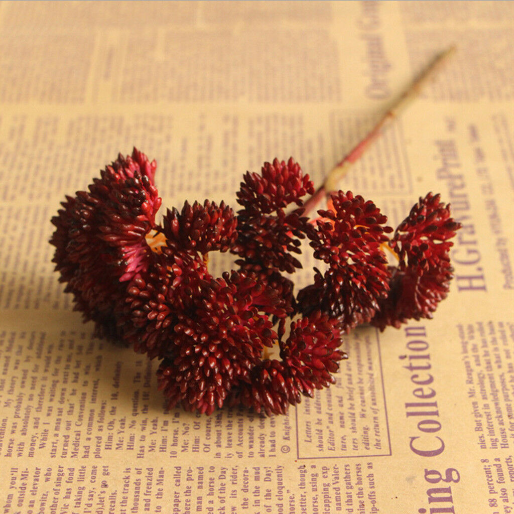 Artificial Fruit Succulent Grass Desert Plant Wedding Home Garden Decor Red