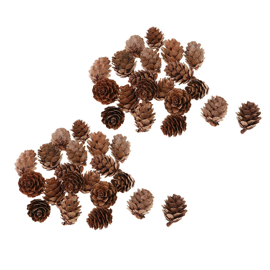 40 PCS Natural Real Dried Pinecones For Table Vase Bowl Filler Display Decor