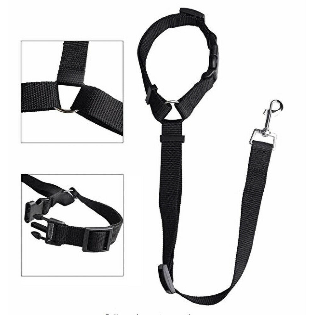 Dog Cat Safety Seat Belt Restraint Harness Adjustable Pet Leading Leash Black HN