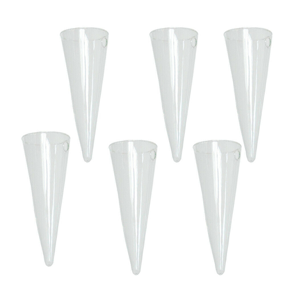 6 Pieces 16cm Glass Planter Conical Terrarium Office Living Room Decors