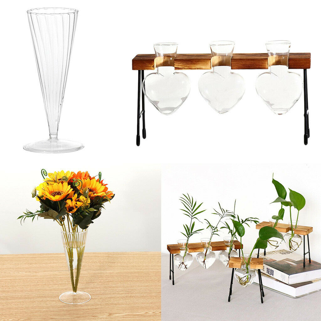 2pcs Test Tube Vase in Wooden Stand Desktop Glass Set Hydroponic Plants