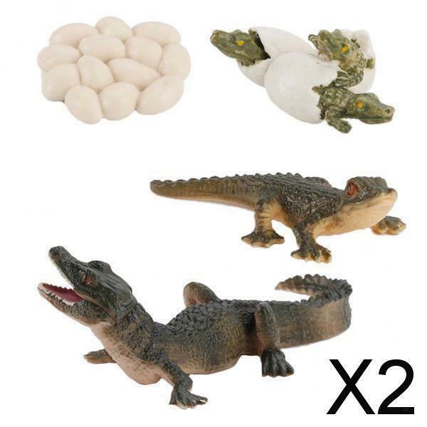 2X Nature Life Cycle Alligator Playset Pre-school Biology Toys Themed Party