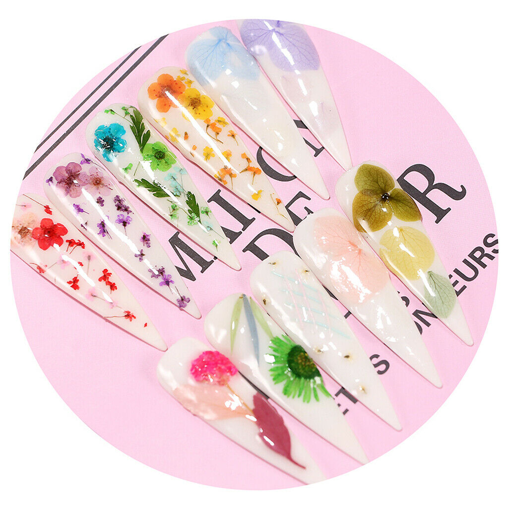 Dried Flowers Nail Art Manicure Tools For Acrylic Uv Gel Tips Decoration 9