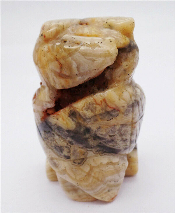 63x38x28mm Natural Crazy Lace Agate Carved Owl Decoration Healing Statue HH8094