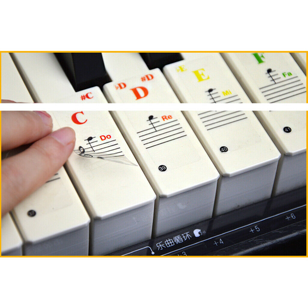 Piano & Keyboard Stickers for 37/54/61/88 Transparent Learning Practice