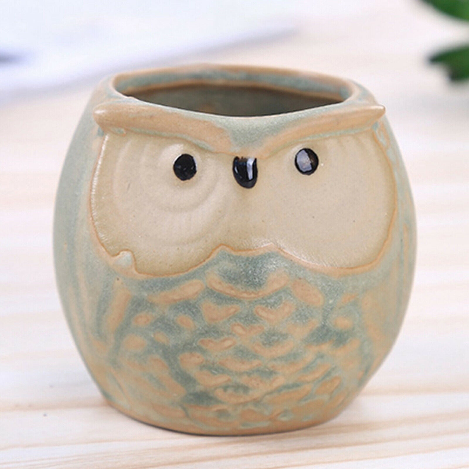 Mini Owl Succulent Plants Pots Flower Potted Plant Desktop Home Office Decor