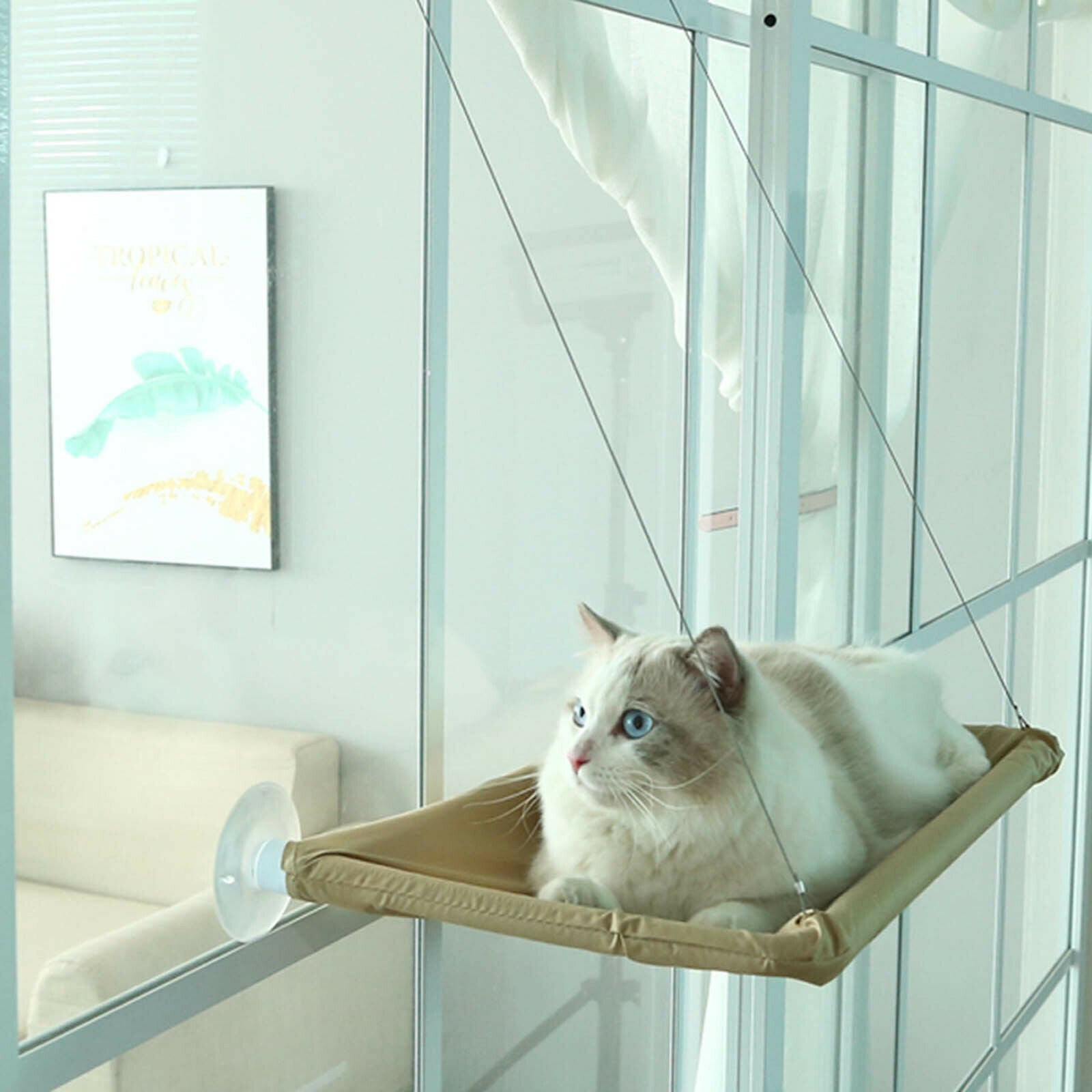 Pet Cat Window Mounted Durable Soft Seat Hammock Perch Bed Hold Up To 15KG