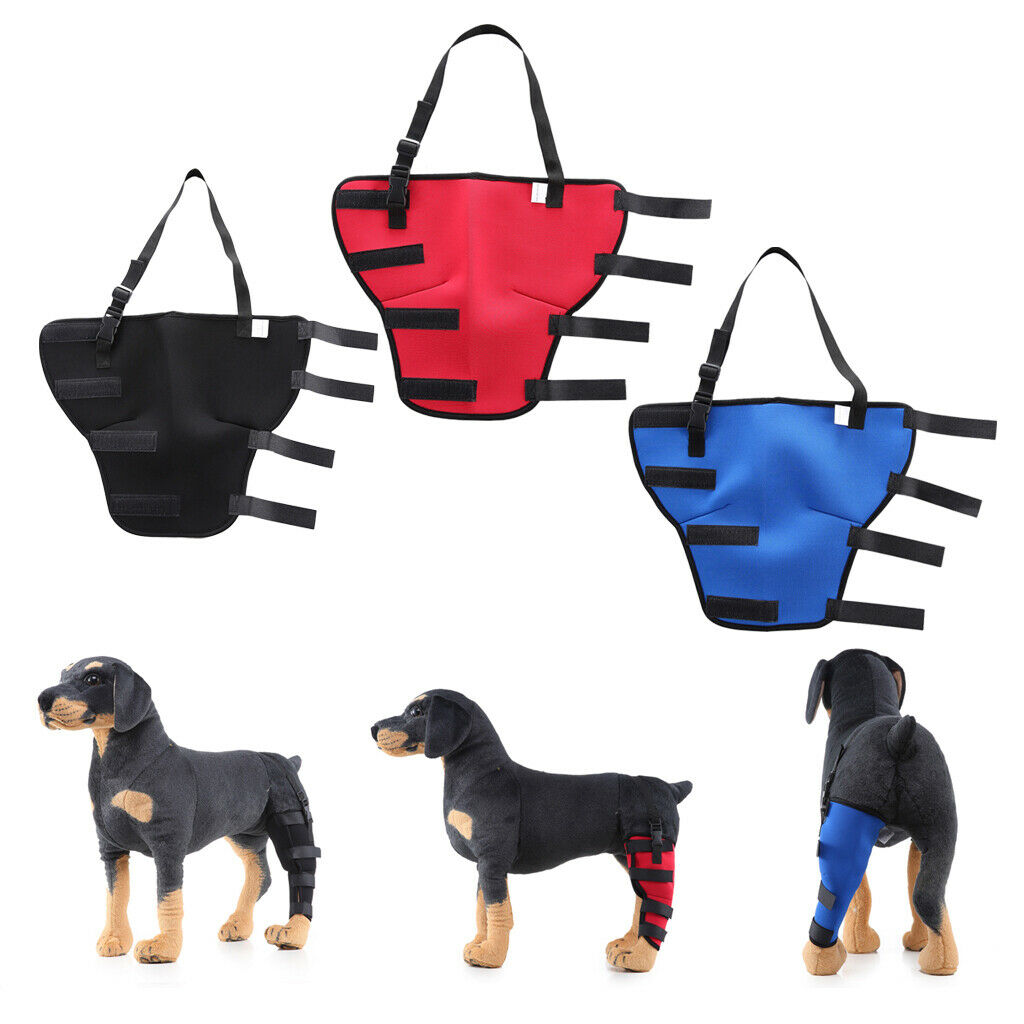 4 Pack Supportive Dog Rear Leg Hock Joint Wrap Protects Dog Wound Dog Rear Leg