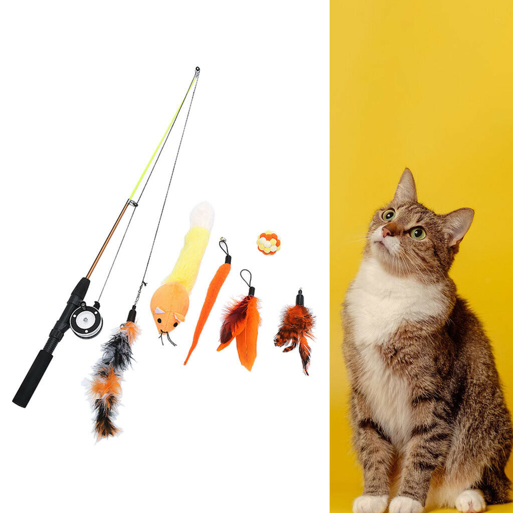 Cats Kitten Feather Interactive Teaser Extendable Wand Toys with 6 Refills