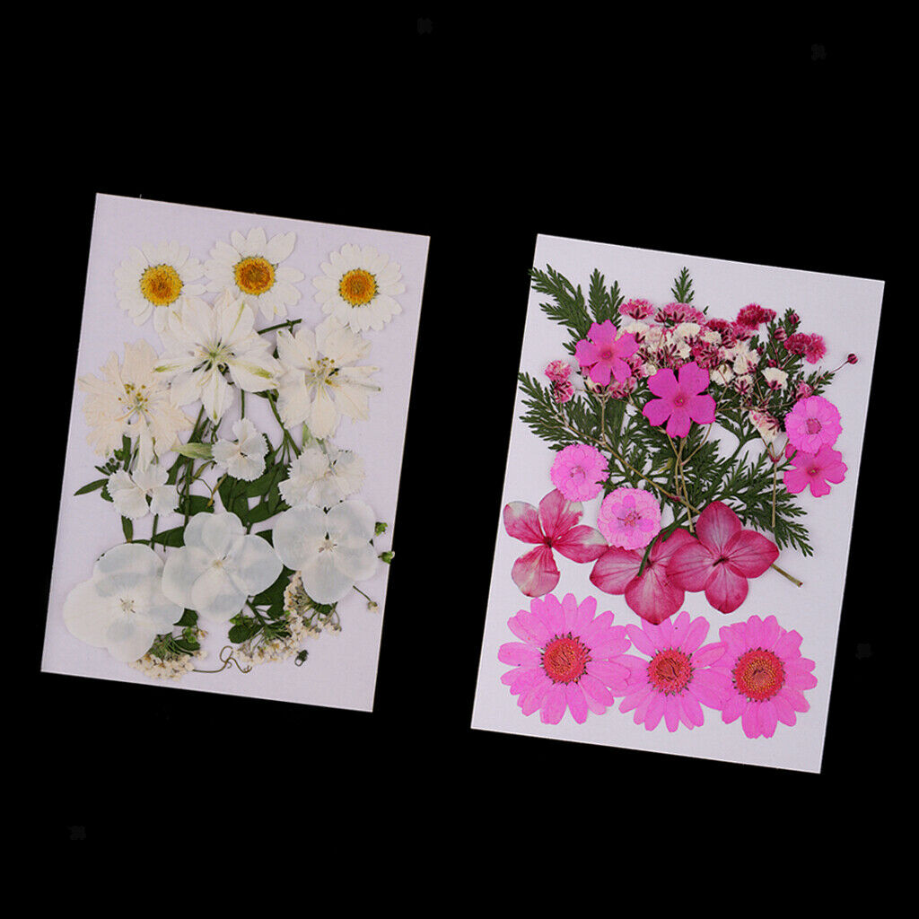 Pack of 2 Bags Assorted Kinds of Dried Flowers Petals Pressed Leaves for DIY