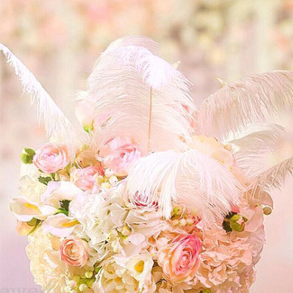 6pcs White Ostrich Feather DIY Headdress Wedding Venue Decoration 25-30cm