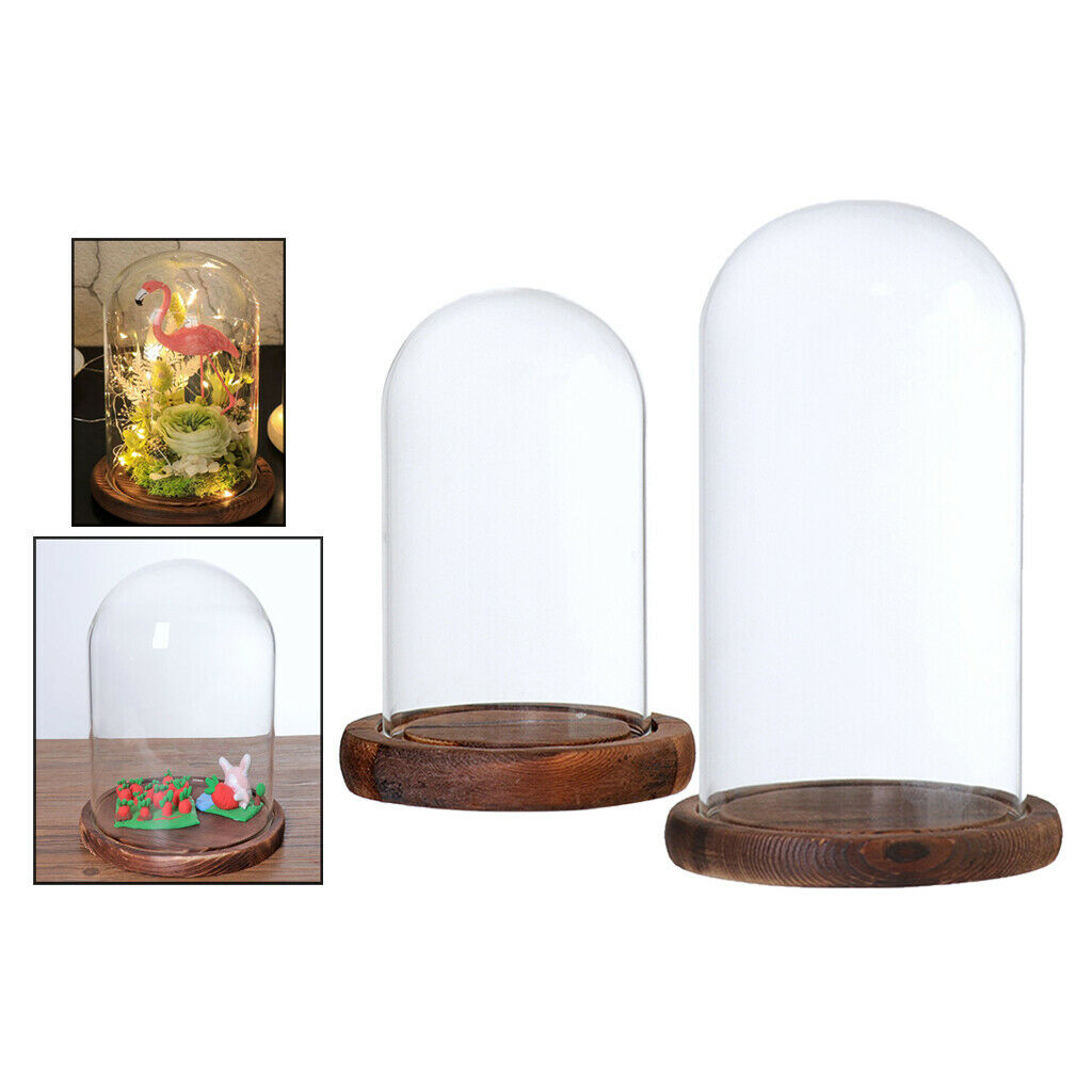 Set of 2 Clear Decorative Glass Succulent Vase for Garden Display Decor