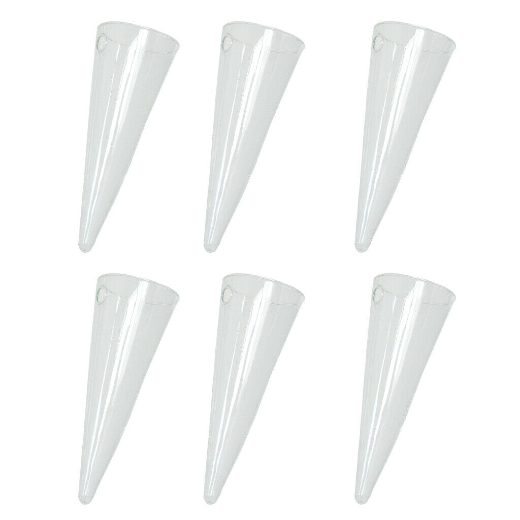 6 Pieces 16cm Glass Planter Conical Terrarium Office Living Room Decors