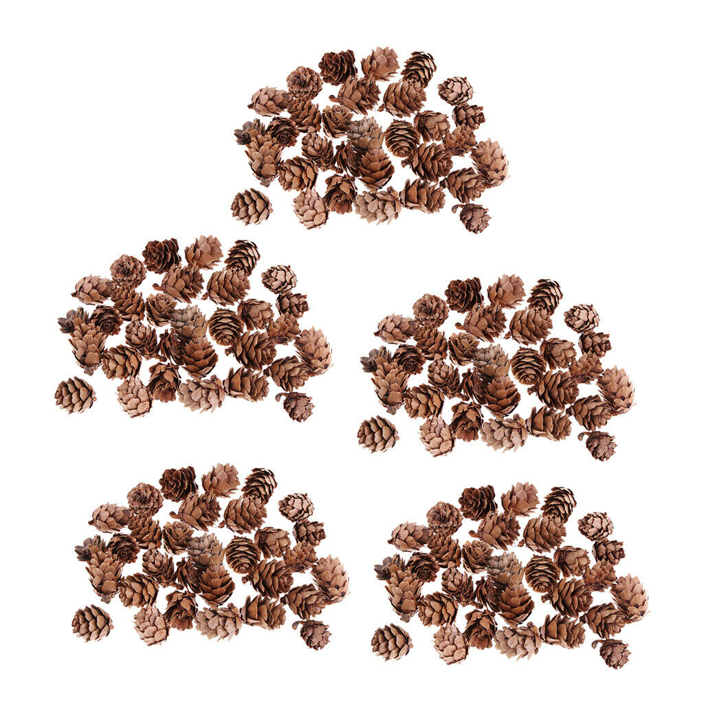 150pcs Small Natural Dried Pine Cones In Bulk Dried Flowers for Christmas Decors