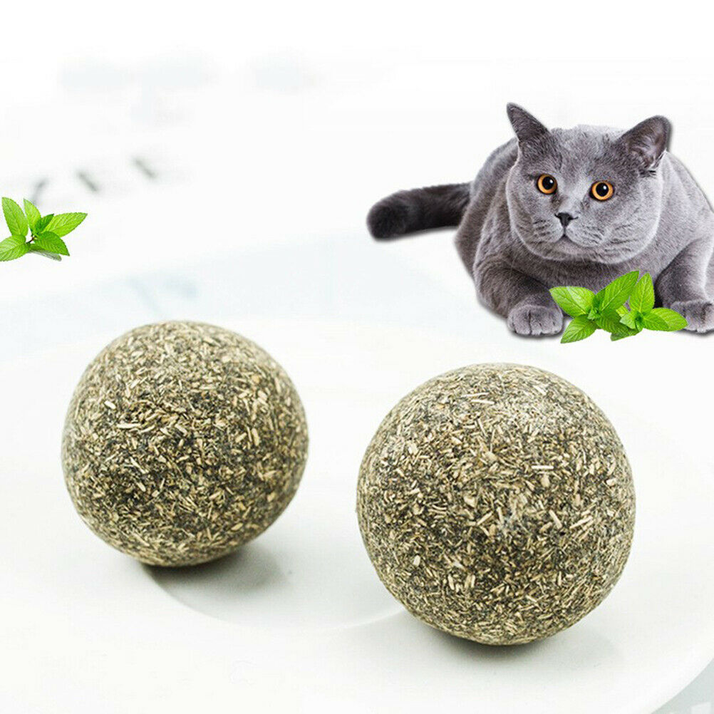 Pet Cat Natural Catnip Treat Ball Home Chasing ys Healthy Edible Treating Fx