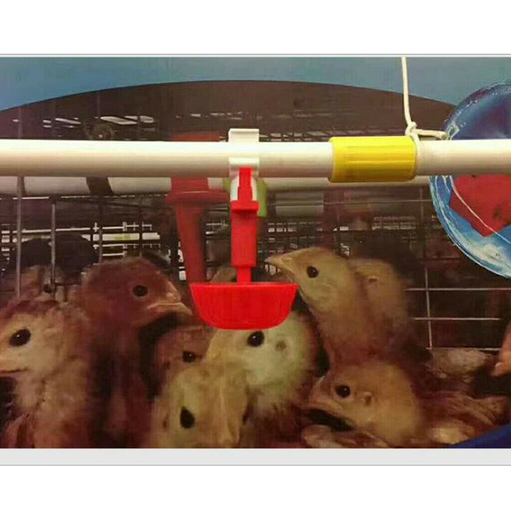 10 Pcs Poultry Fowl Waterer Fittings Automatic Water Durable Drinking Cups