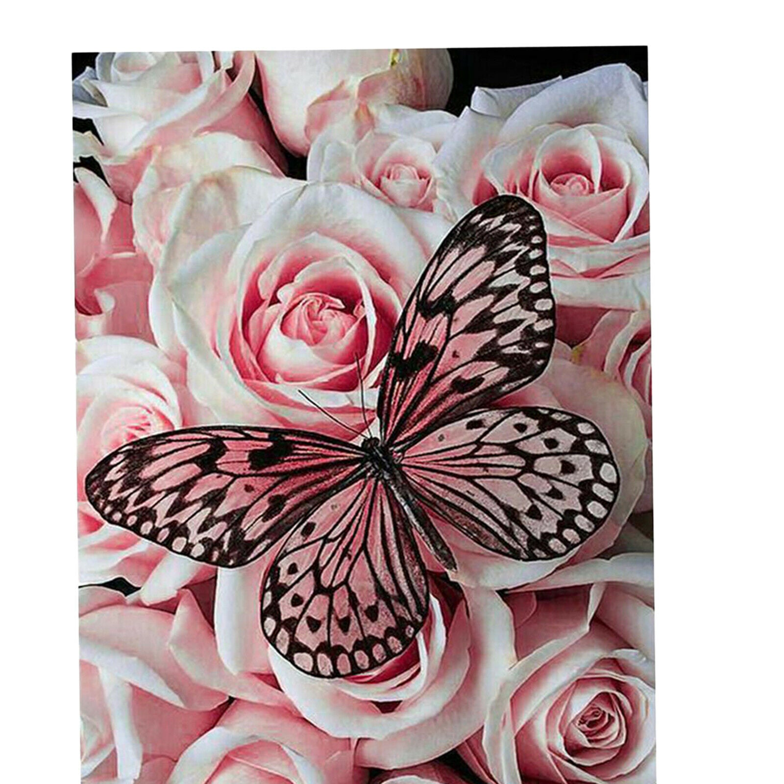 DIY 5D Diamond Painting Butterfly Full Drill Picture Supplies 11.8x15.8 inch