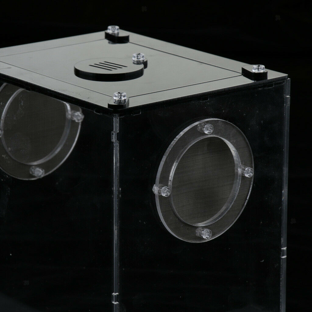 Acrylic Reptile Terrariums Plant Feeding Tank Lizard Breeding Box Reptiles