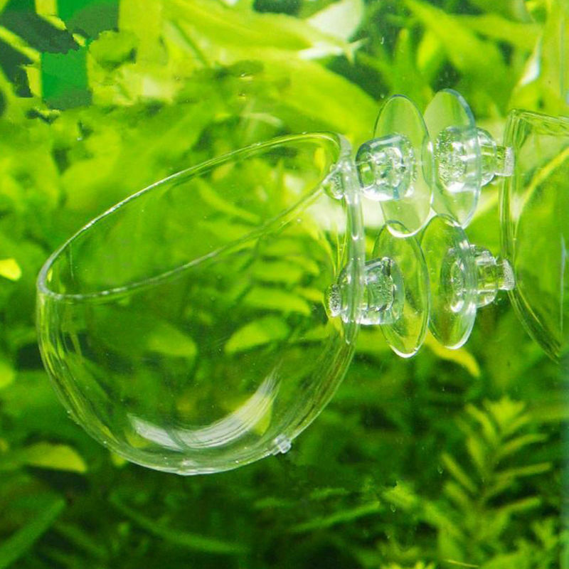 Transparent Aquatic Plants Pot Holder Plants Holder For Fish Planted Tanks