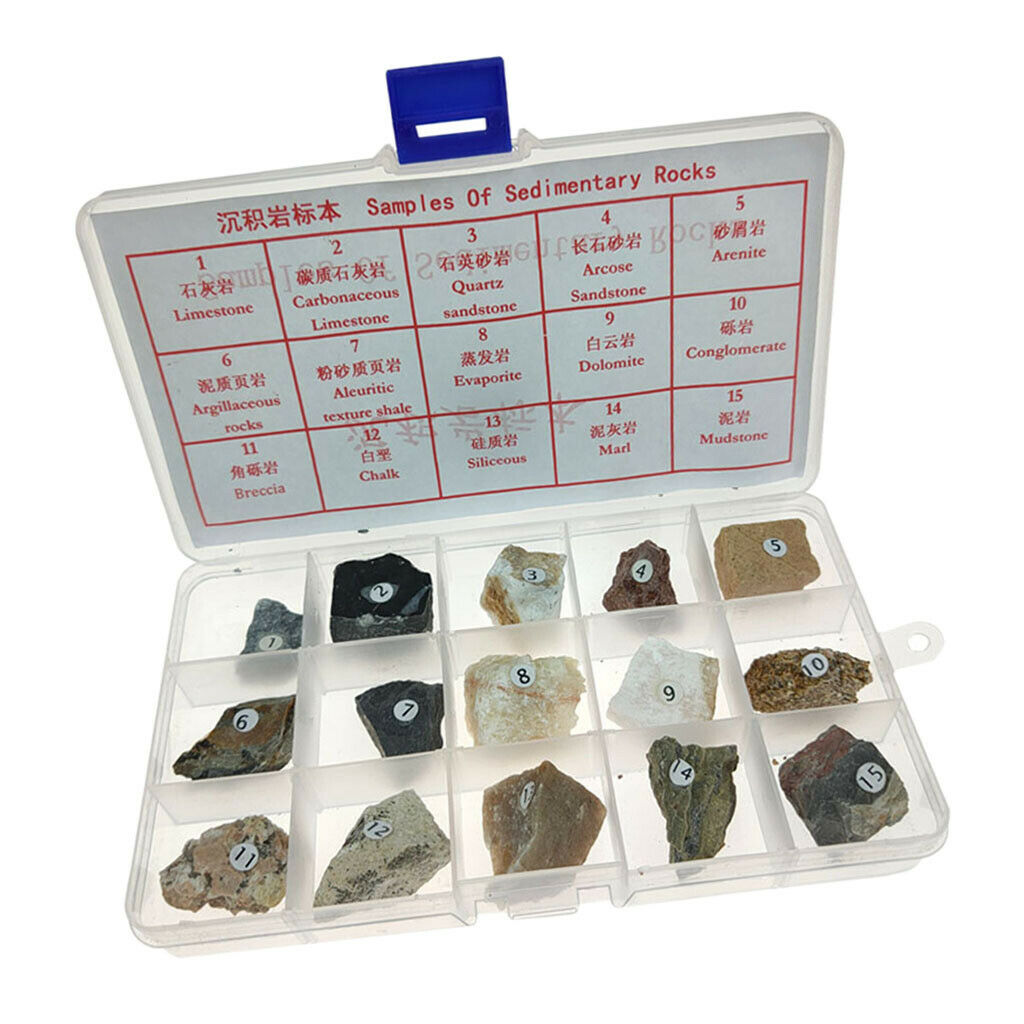 15pcs Sedimentary Rock Specimen Collection Teaching Aid Supplies w/ Box