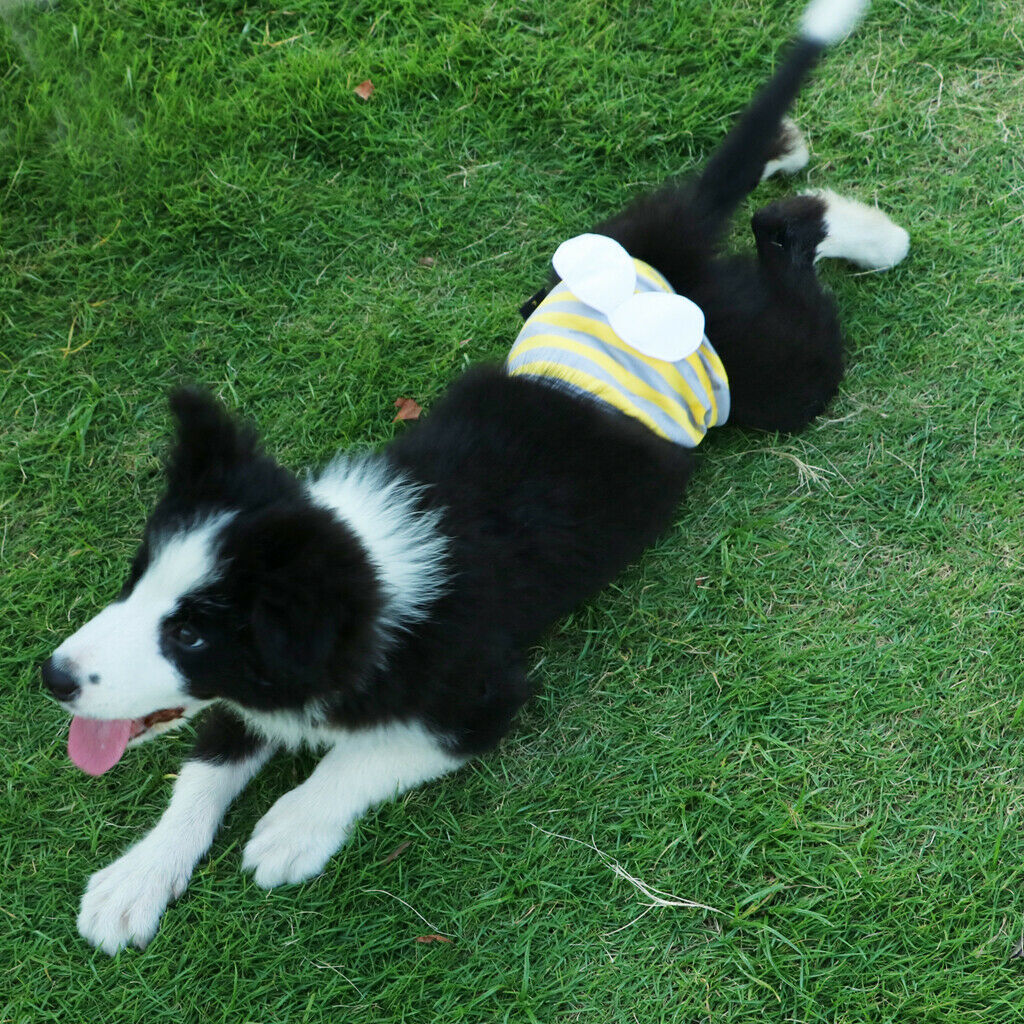 Male Pet Dog Pants Bitch Season Menstrual Sanitary Nappy Diaper Yellow S
