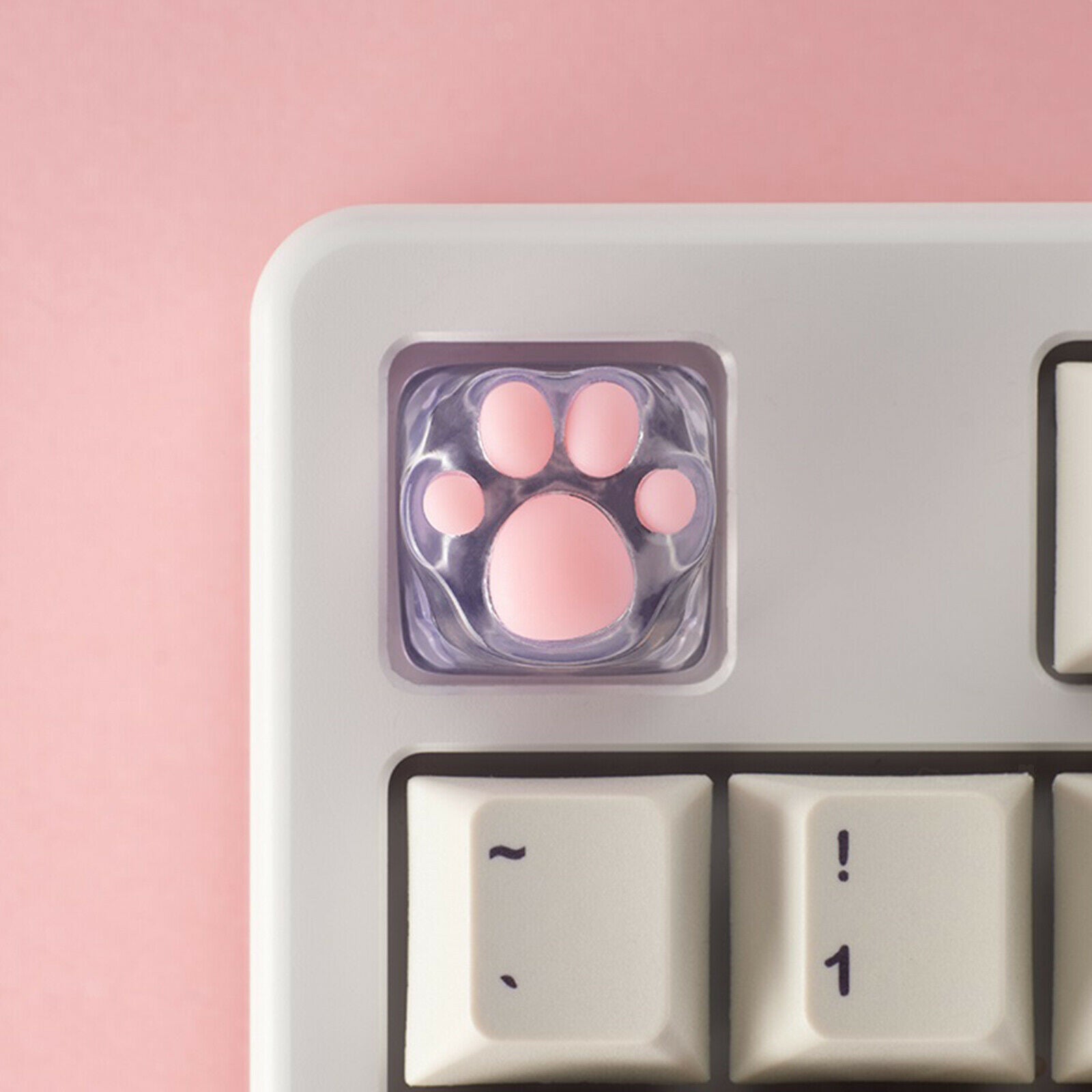 Transparent Gaming Key  Cat Paw Keys Machinery Keyboard keys Base
