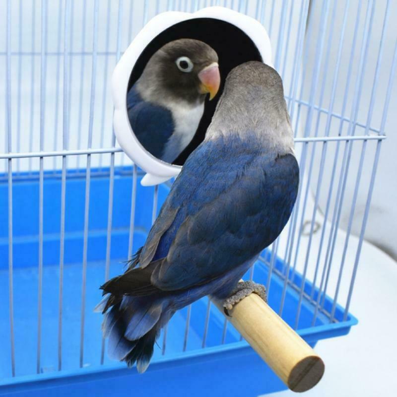 Parrot Perch Strong Wooden Jungle Gym Roosting Bar Parrot Toys With Mirror