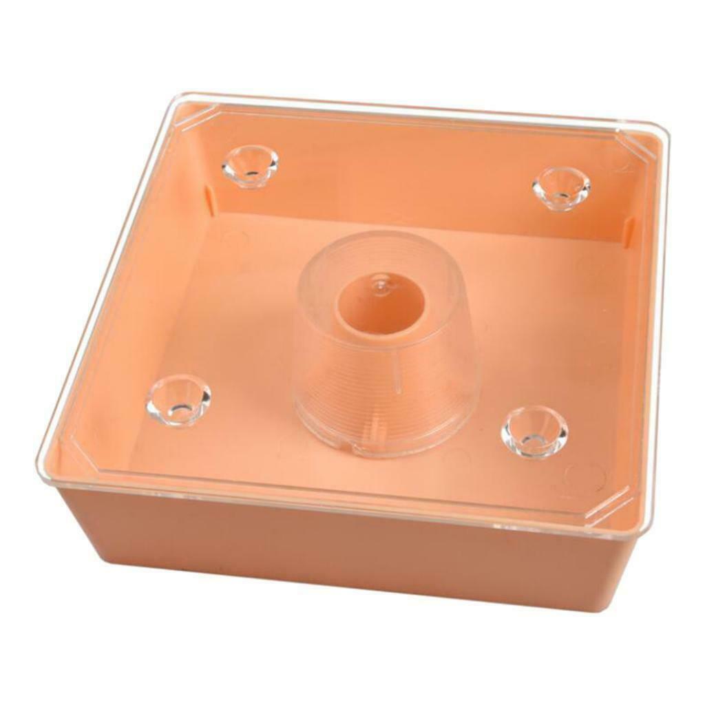 Square 2L Beehive Top Feeder Bee Feeder Beekeeping Tool High-quality Durable