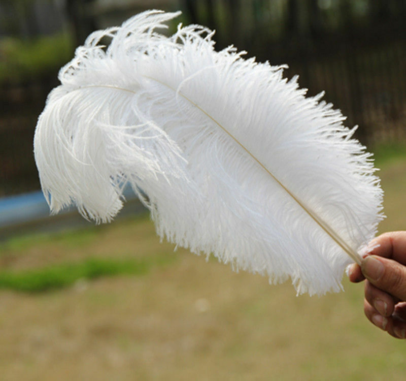 Wholesale 100 pcs white ostrich feathers 12-14 inch/30-35 cm Wedding
