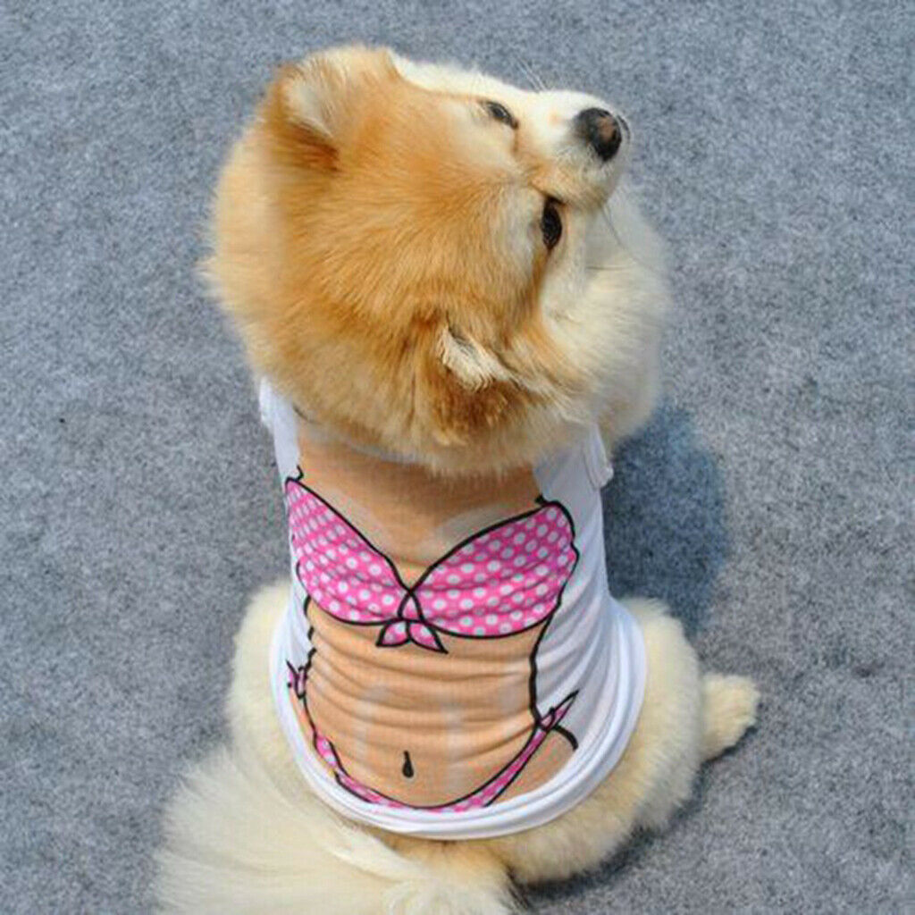 Fashion Pets Dog Cat Clothes Summer Spring T-Shirt Soft Clothing xs