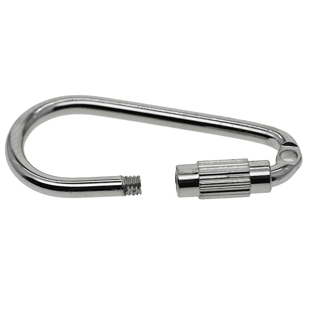 10 Pieces Alloy Carabiner Keychain Mini Carabiner Small