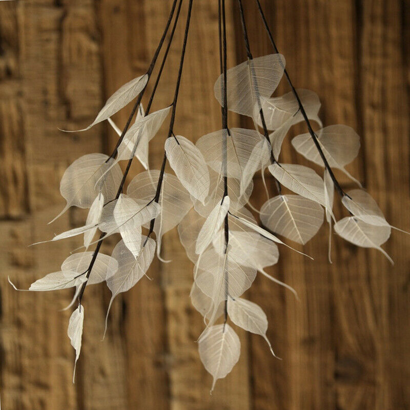 55cm Natural white Bodhi leaf vein Branch dried Flower wedding flower P1 TwJ.DD