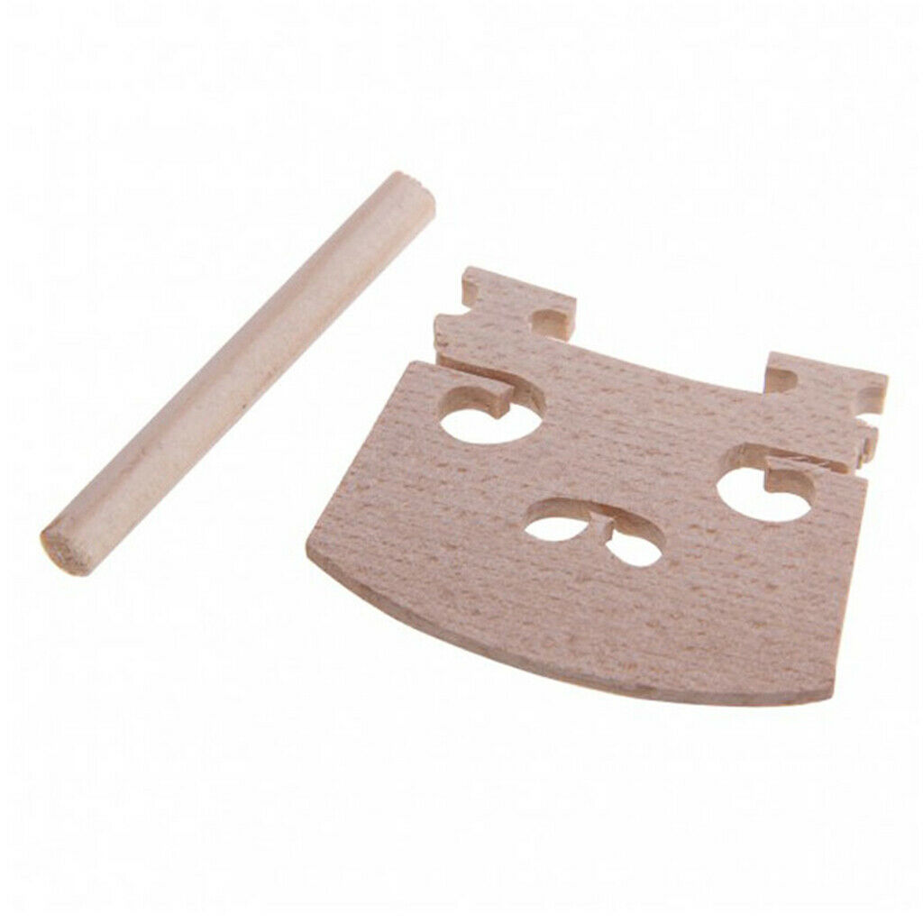16-in-1 accessory set for 4/4 violin