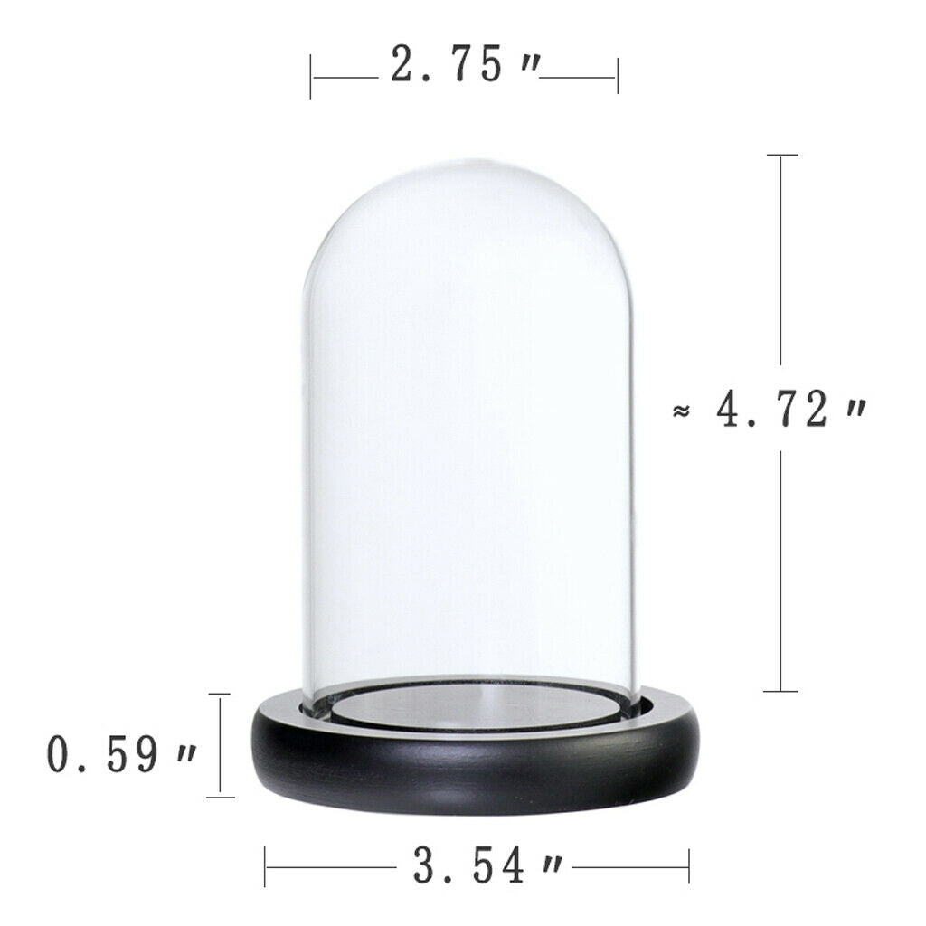 Clear Glass Cloche Dome Vase Terrarium for Office Garden Ornament Black