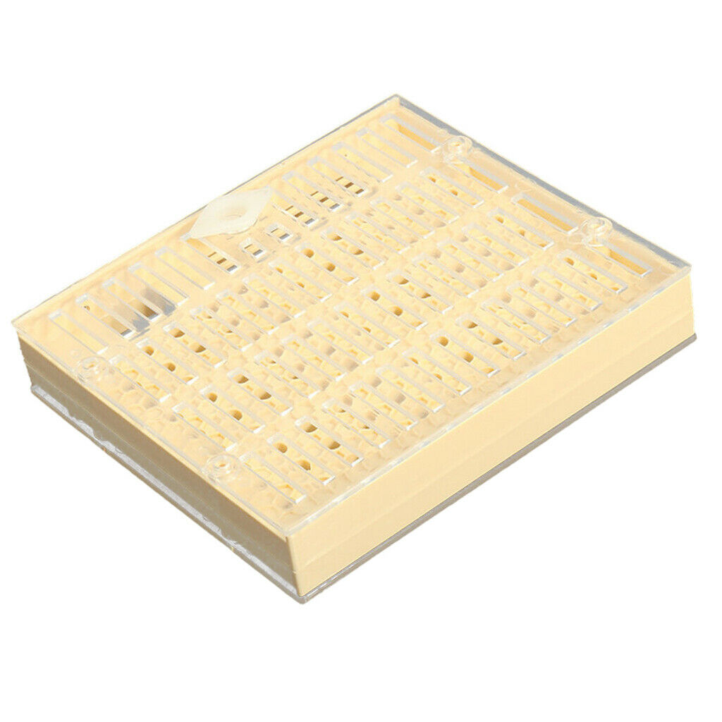 Cage Function Bee Queen Matchbox Movement Tool Beekeeping Collector with 100