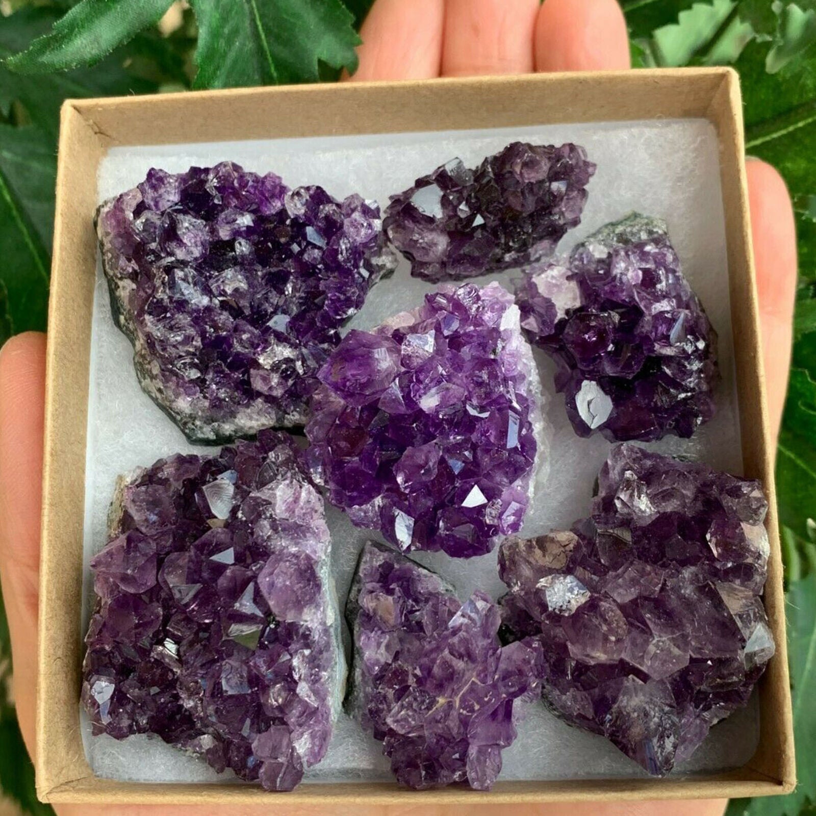 Raw Amethyst Cluster Druzy Collection Box, Deep Purple Amethyst