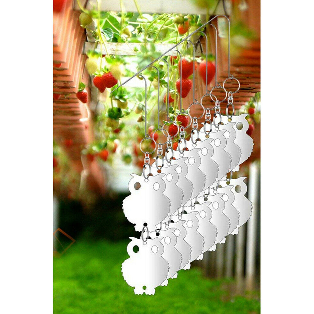 8pcs Hanging Discs Decorative Scare Deterrent Pest Bird Repellent Reflective