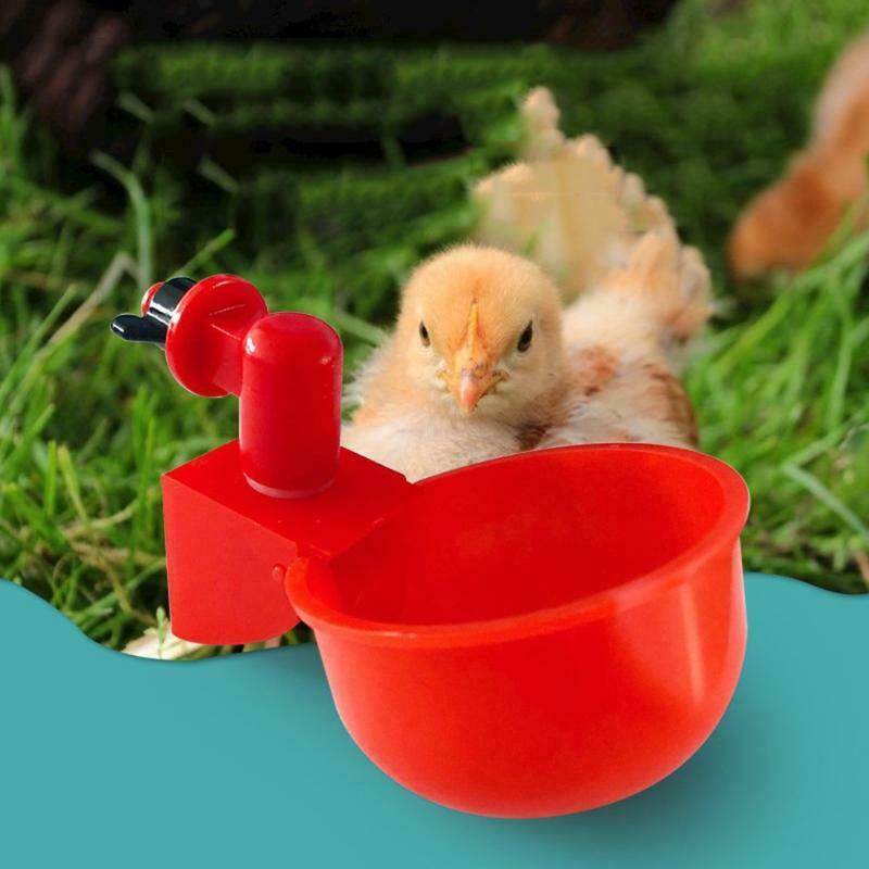 Automatic Chicken Waterer Drinking Cup Auto-fill Watering Kit for Poultry