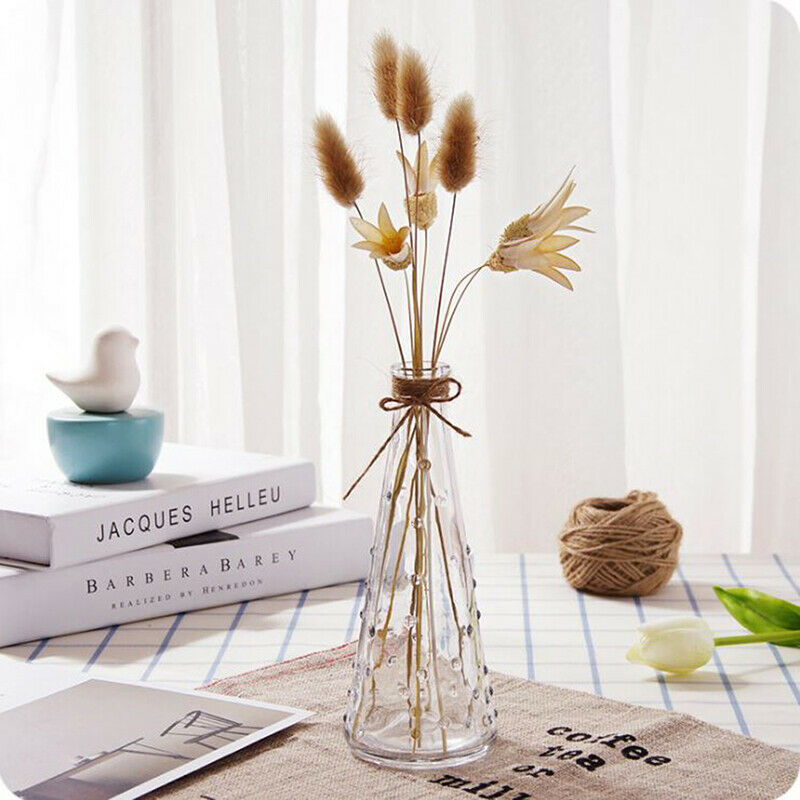 Raindrop Conical Glass Vase Decorate Home Nordic Dried Flower Hydroponic Bottle