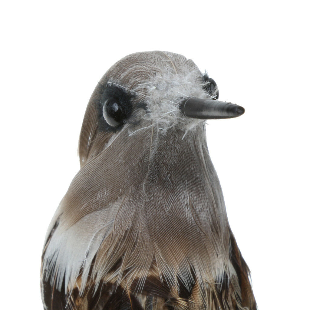 Handcraft Bird Feathered Bird Garden Home   Tree Decor Lifelike 12cm #6
