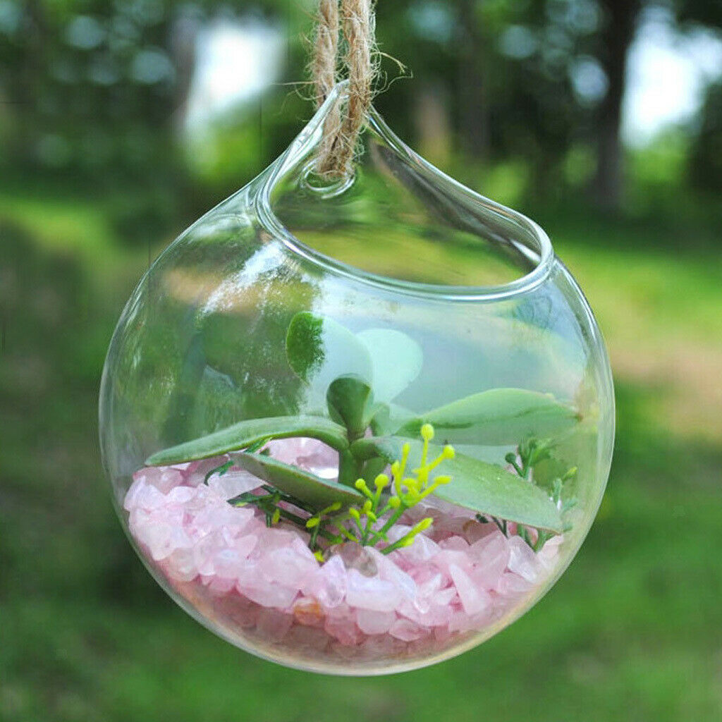 3x Clear Ball Glass Hanging Vase Bottle Terrarium Container Flower Decor