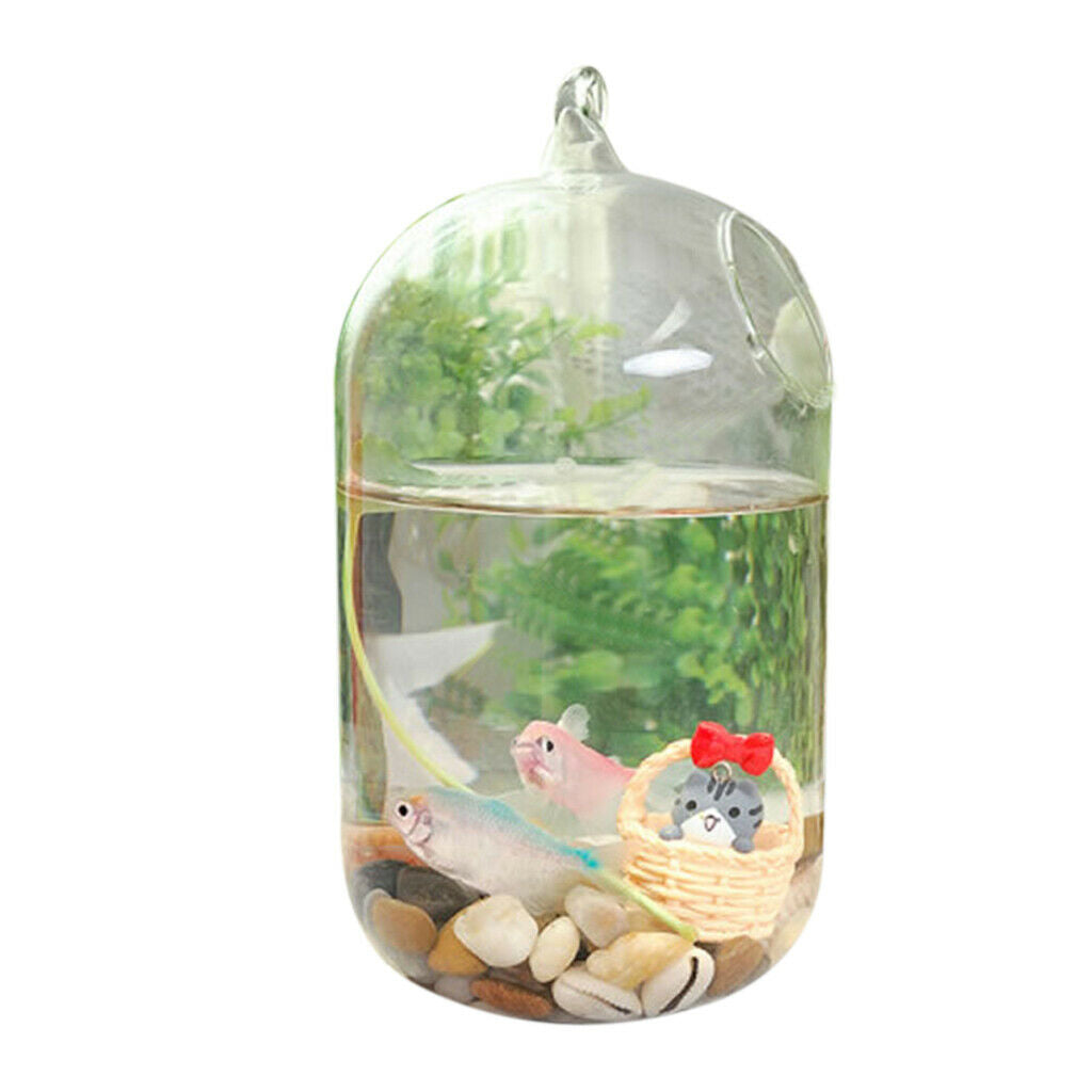 Hanging Glass Flower Vase Bottle Hydroponic Terrarium Container Home Decor L