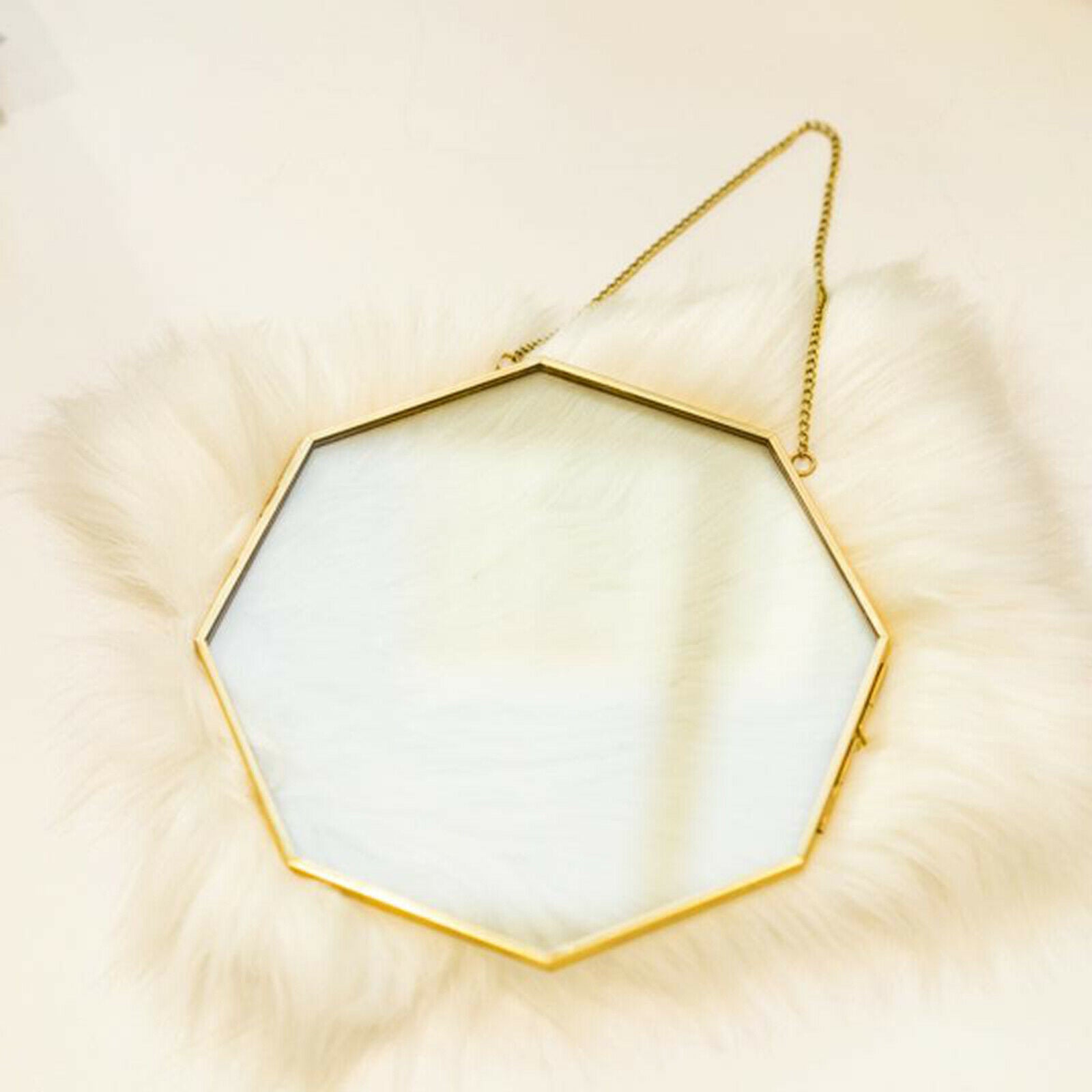 Brass Hanging Photo Frame Picture Frames Clip for Display Plant Specimen
