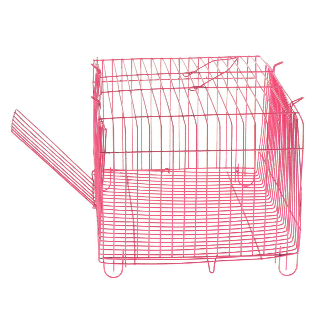 New House Small Pet Hamster Exercise