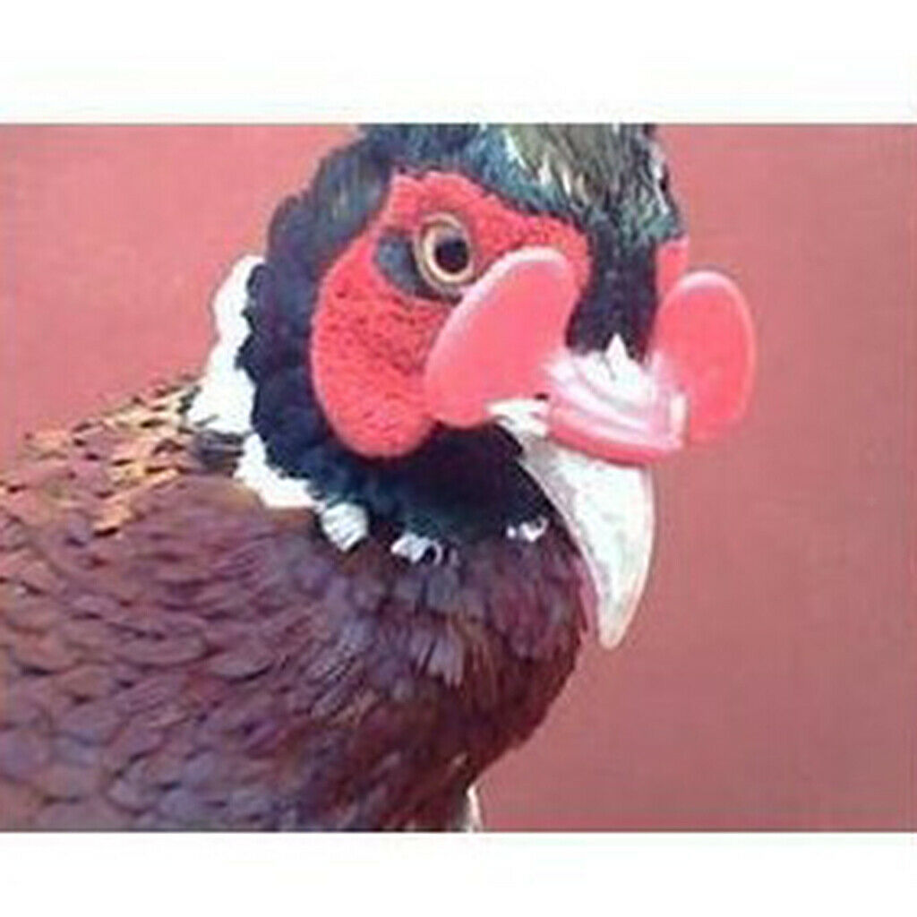100 Pcs Farm Products 6 Pack of Pheasant, Poultry & Chicken Blinders Peeper
